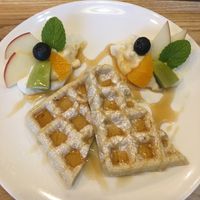 Waffles  at Where is a Dog in Tokyo