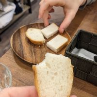  at Where is a Dog in Tokyo