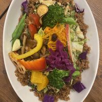   at Where is a Dog in Tokyo