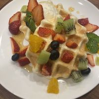   at Where is a Dog in Tokyo