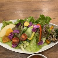   at Where is a Dog in Tokyo