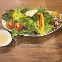   at Where is a Dog in Tokyo