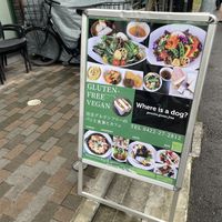   at Where is a Dog in Tokyo