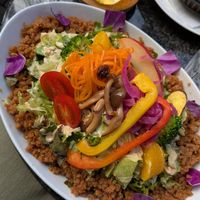  at Where is a Dog in Tokyo