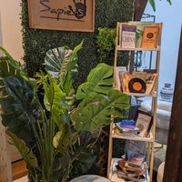 Inside at Sapiens in Santiago