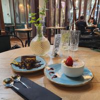 Ambiente 10/10. Atención 8.1/10. Calidad de alimentos 4.5/10. at Sapiens in Santiago