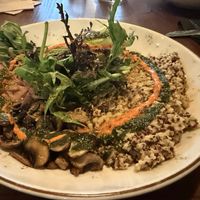 Quinoa and Mushrooms  at Sapiens in Santiago