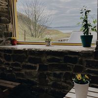   at Kerrera Tea Garden in Isle Of Keerera