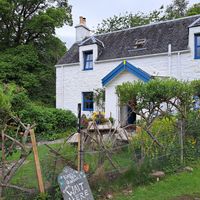  at Kerrera Tea Garden in Isle Of Keerera
