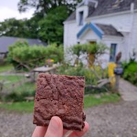  at Kerrera Tea Garden in Isle Of Keerera