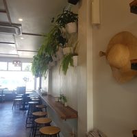 Interior at George Cafe in Mount Maunganui