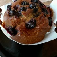 blueb muffin at George Cafe in Mount Maunganui