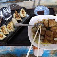 Dumplings and double fried " tofu" at Taiwan Shokudo in Tokyo