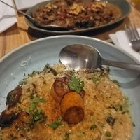 Weekly Special Mushroom Risotto at Aleph Middle Eastern Eatery in Vancouver
