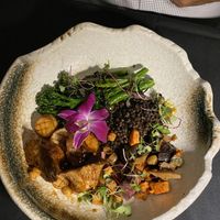 Plant based oyster mushrooms scallops..superb!   at Wildest Restaurant & Bar in Palm Desert