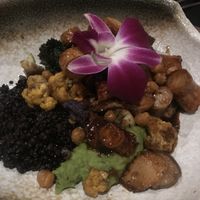 King trumpet “scallops” with pea purée and lentils. #Veganuary at Wildest Restaurant & Bar in Palm Desert