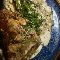   at Wildest Restaurant & Bar in Palm Desert