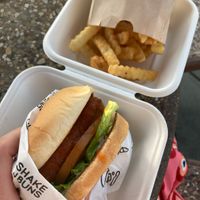 Buffalo chick-n sandwich with fries  at Shake 'N Buns in Bakersfield