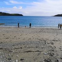  at Trebah Garden in Falmouth