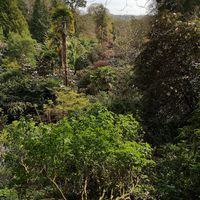  at Trebah Garden in Falmouth