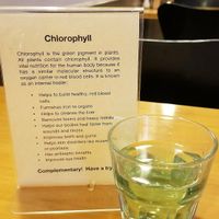 Try a glass of Chlorophyll water! at The Cozy Corner in Taupo