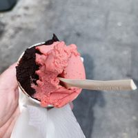  at Sun Bear Gelato in Dublin