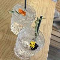   at Purezza Camden in London