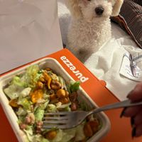 Vegan Caesar salad at Purezza Camden in London