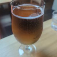 Forest Road posh lager at Purezza Camden in London