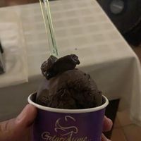 Their dark chocolate gelato. at Gelatissimo in Palm Beach