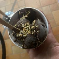 Vegan Dark Chocolate  at Gelatissimo in Palm Beach