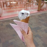  at Gelatissimo in Palm Beach