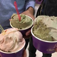 Vegan flavors at Gelatissimo in Palm Beach