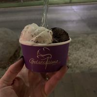 Vegan ice cream  at Gelatissimo in Palm Beach