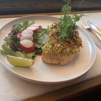  at Green Library in Plovdiv