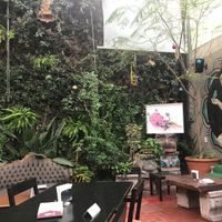 The patio  at Uke Mochi in Guadalajara
