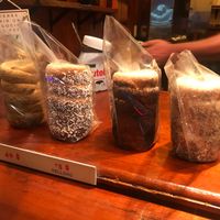 Hungarian doughnuts  at Rollito dulce de Hungria in Playa Del Carmen