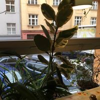 Beautiful view overlooking the street from the table by the window. at Vegetka in Prague