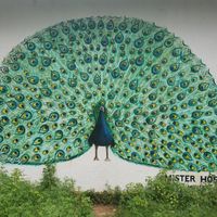   at Mister Hostel in Mirissa