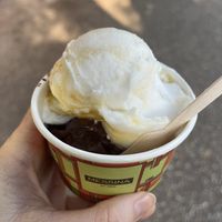 Chocolate & Salted Coconut and Mango  at Gelato Messina in South Brisbane