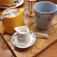  at The Wildcat in Fort William