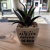   at The Wildcat in Fort William