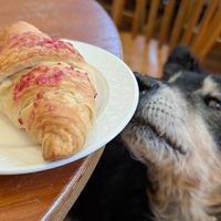 Raspberry croissant - yummy! at The Wildcat in Fort William