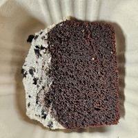  at The Wildcat in Fort William