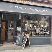   at The Wildcat in Fort William