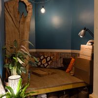 Cosy seating area - for Wildcats or humans  at The Wildcat in Fort William