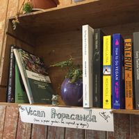 Vegan books shelf at The Wildcat in Fort William