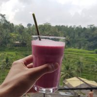 Pink panther smoothie at by Cafe in Tegallalang