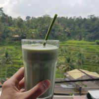 Green spirulina smoothie at by Cafe in Tegallalang
