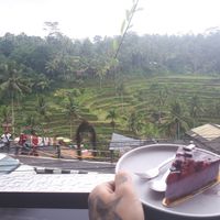 Delicious vegan blueberry cheesecake at by Cafe in Tegallalang